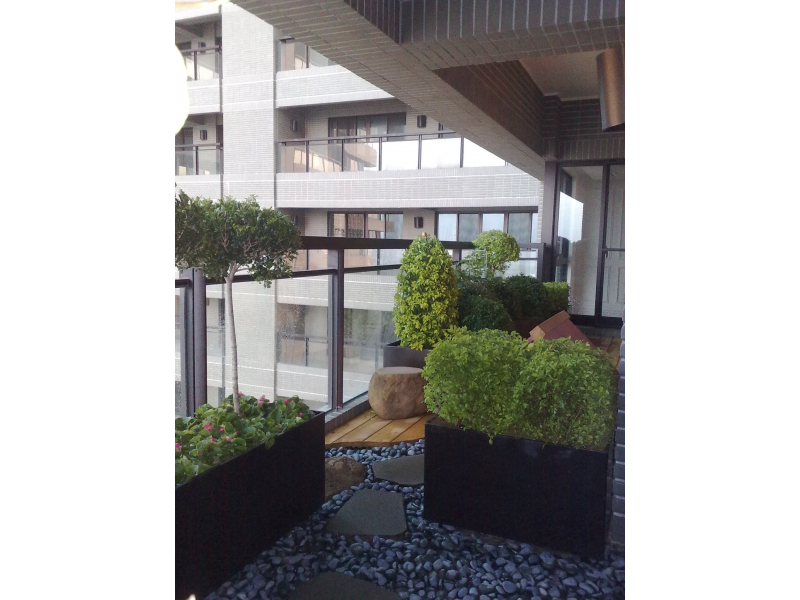 Images